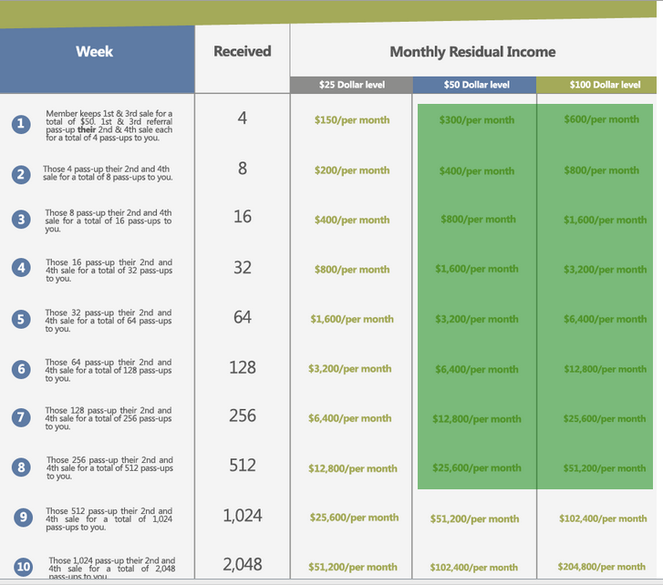 national wealth center compensation plan example