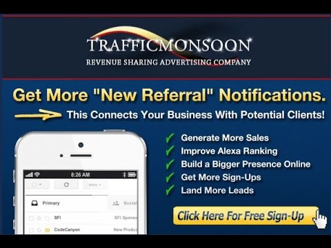 traffic monsoon review